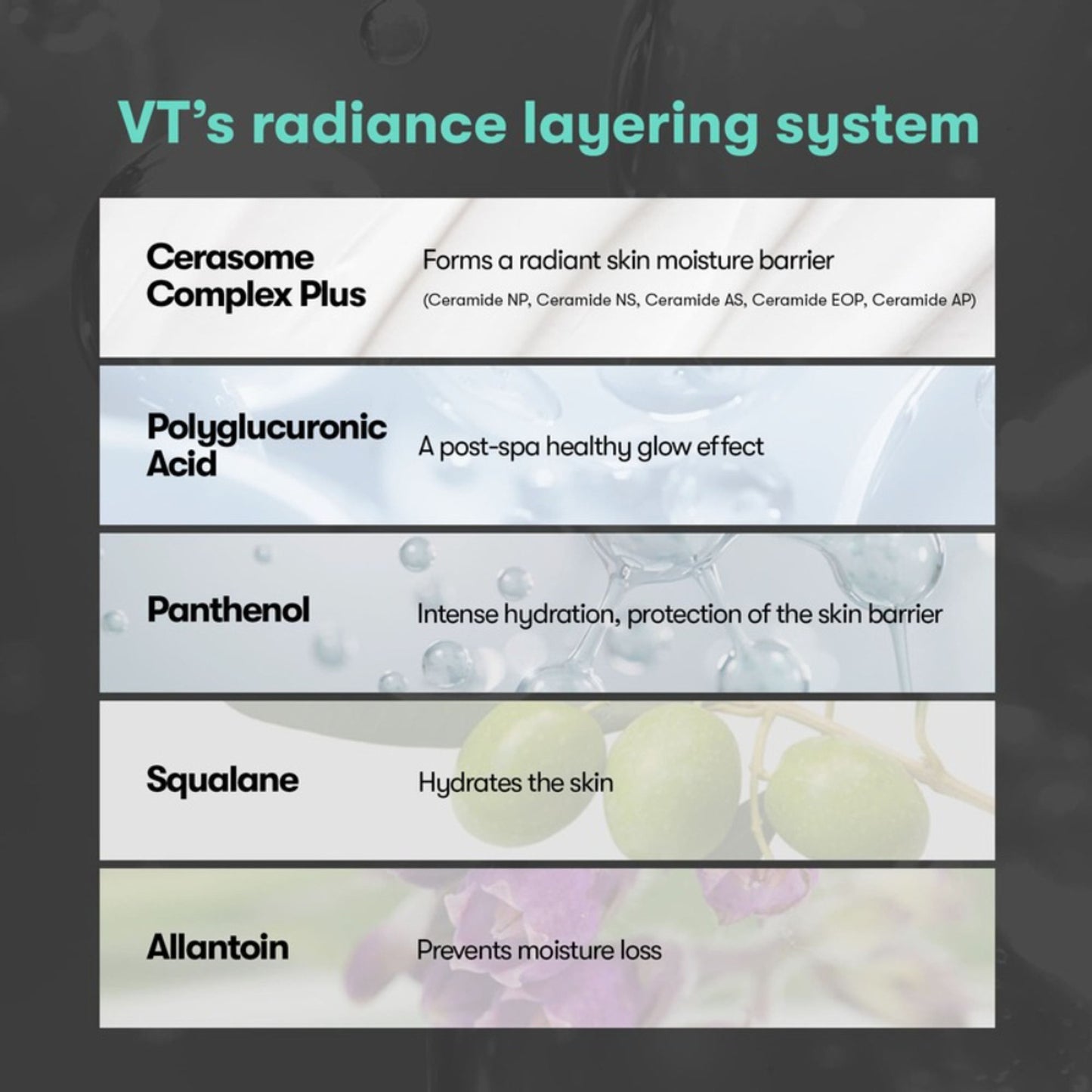 VT Cosmetics PDRN 100 Essence