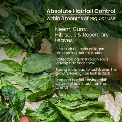Nat Habit Trileaf Rosemary Hair Oil Controls Hair Fall, Promotes Hair Thickness & Growth With Neem