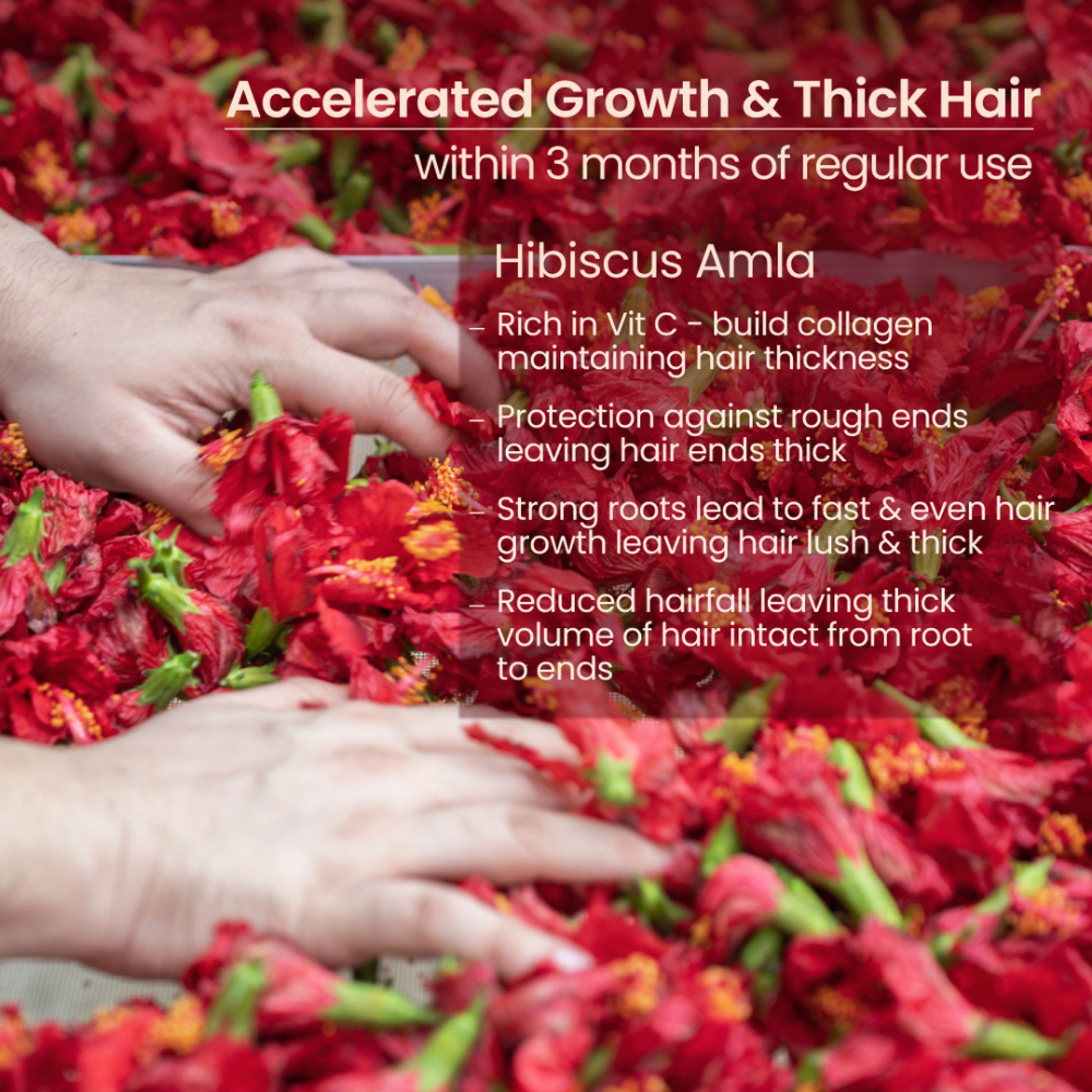 Nat Habit Hibiscus Amla Hair Growth & Thickening Hair Oil For Dry & Frizzy Hairs, Costor & Coconut