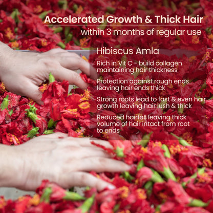 Nat Habit Hibiscus Amla Hair Growth & Thickening Hair Oil For Dry & Frizzy Hairs, Costor & Coconut