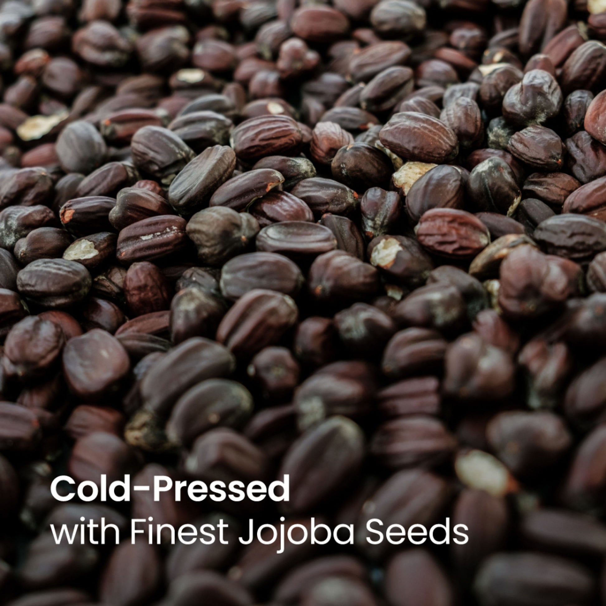 Nat Habit 100% Pure Cold Pressed Jojoba Oil