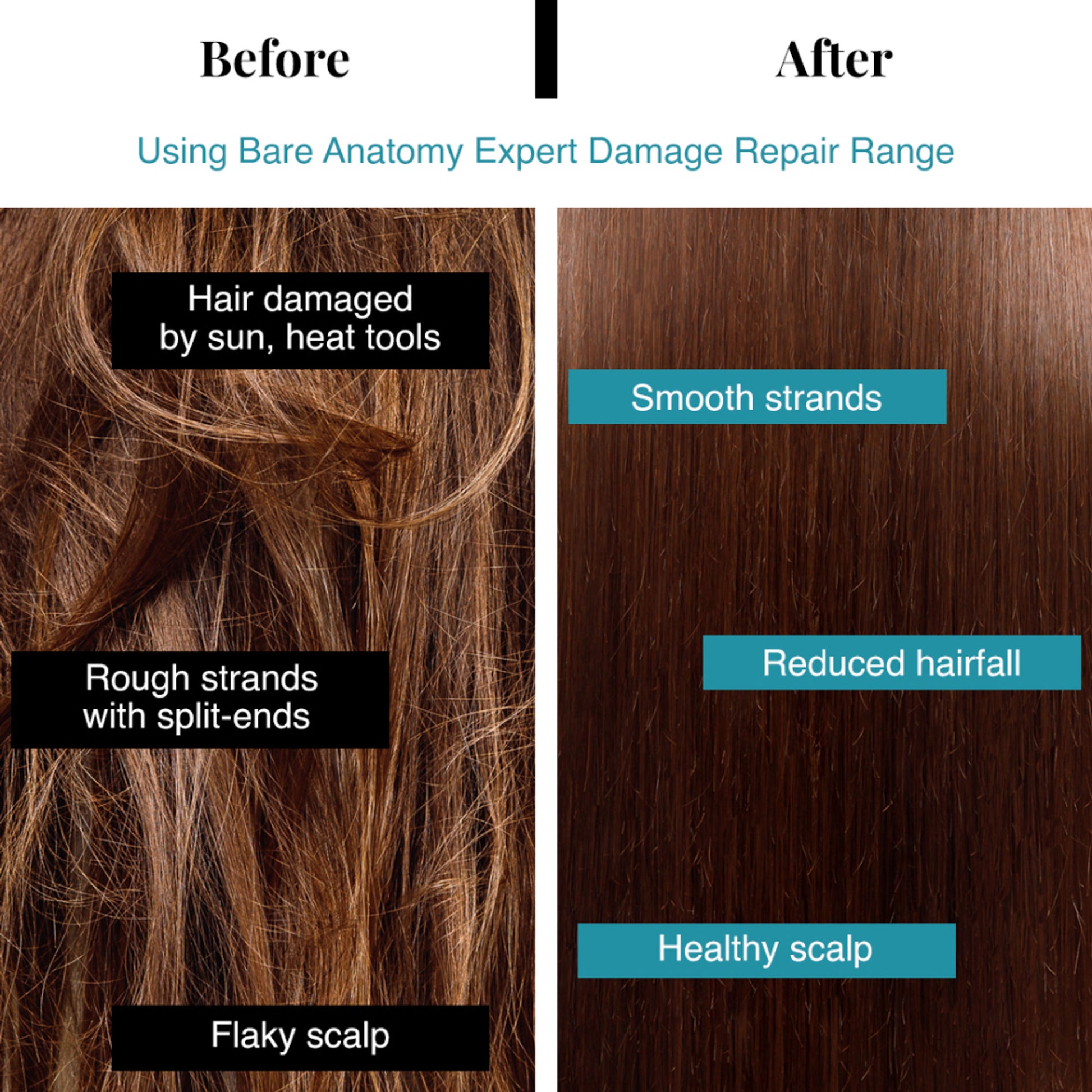 Bare Anatomy Damage Repair Shampoo for Damaged, Dry & Frizzy Hair Paraben & Sulphate Free Shampoo