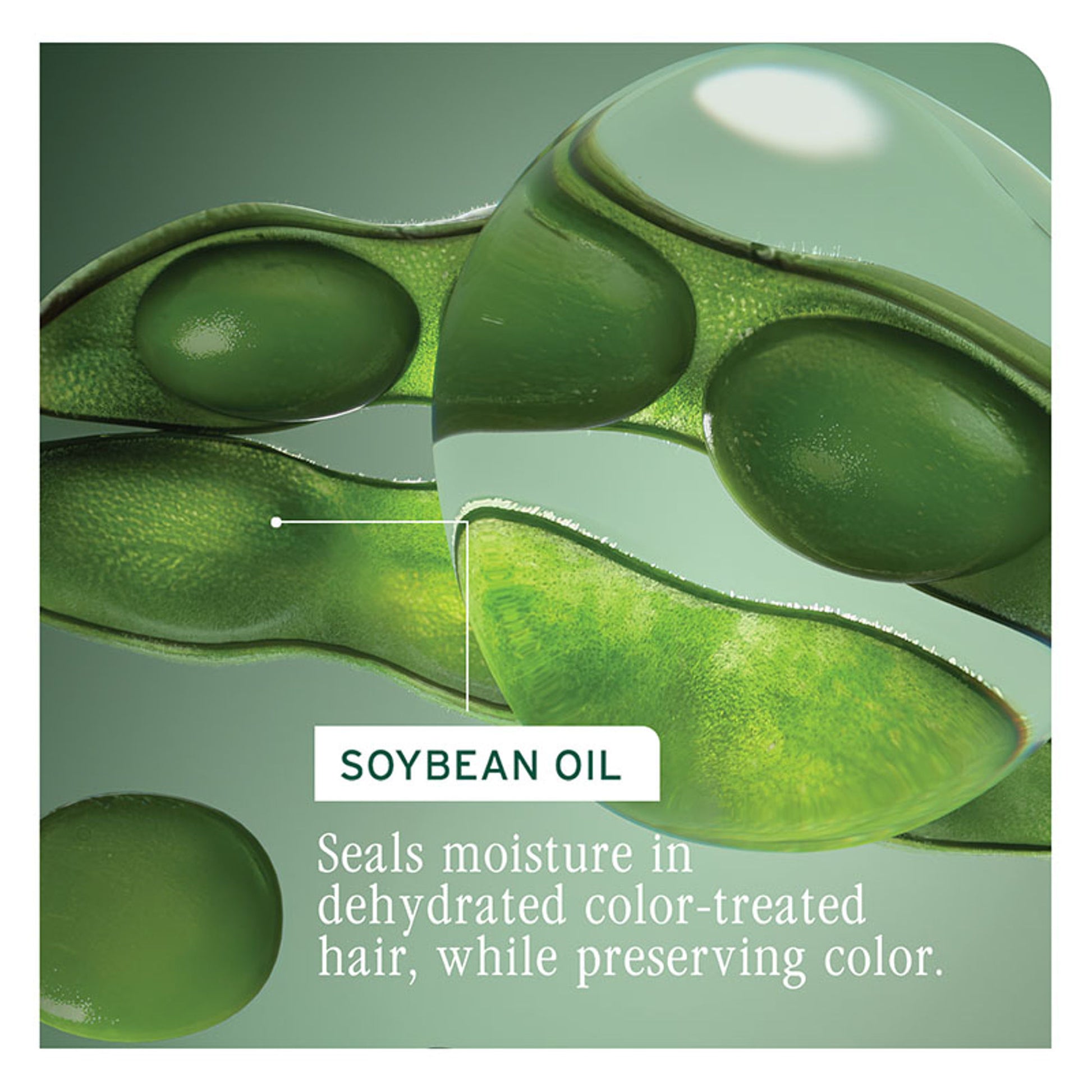 Biolage Colorlast Professional Conditioner, Helps Protect Colored Hair & Maintain Vibrancy