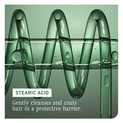 Biolage Colorlast Professional Conditioner, Helps Protect Colored Hair & Maintain Vibrancy