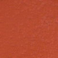 Warm Terracotta