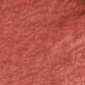 Warm Rosewood Nude