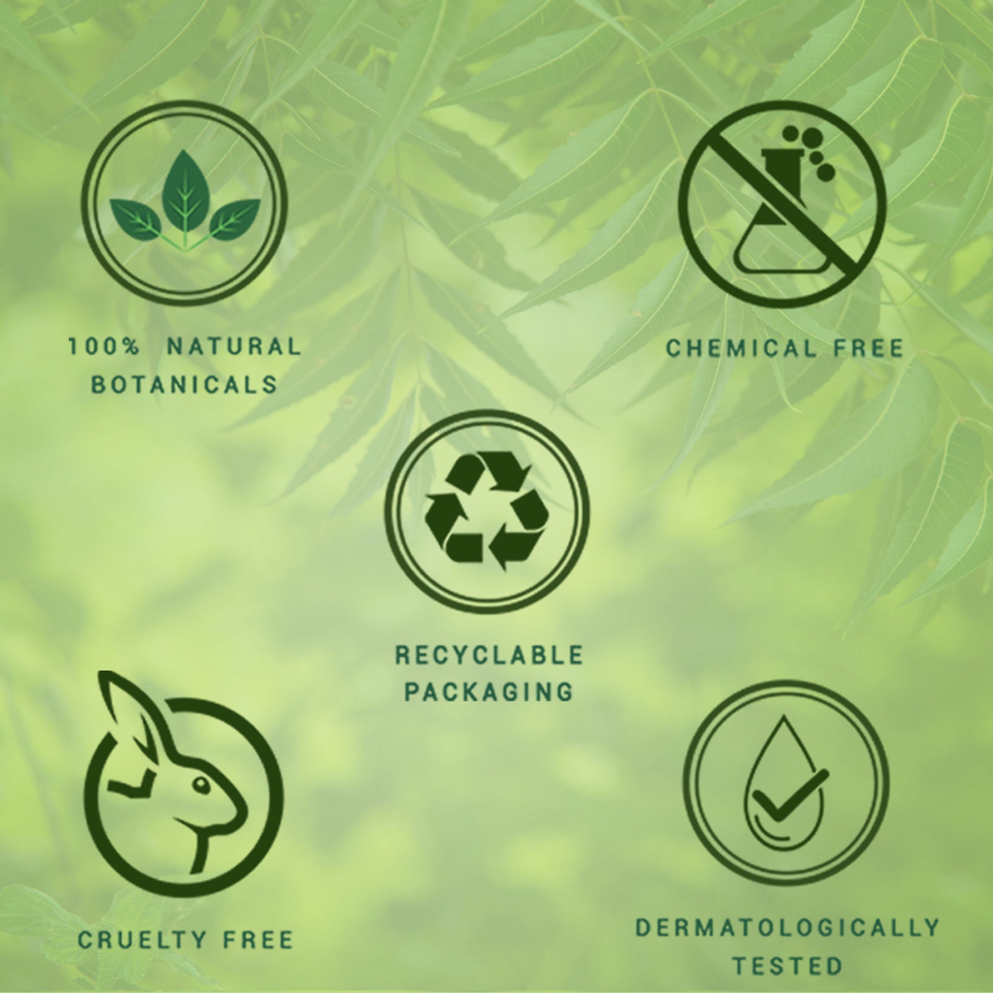 Biotique Bio Neem Margosa Anti-Dandruff Shampoo & Conditioner