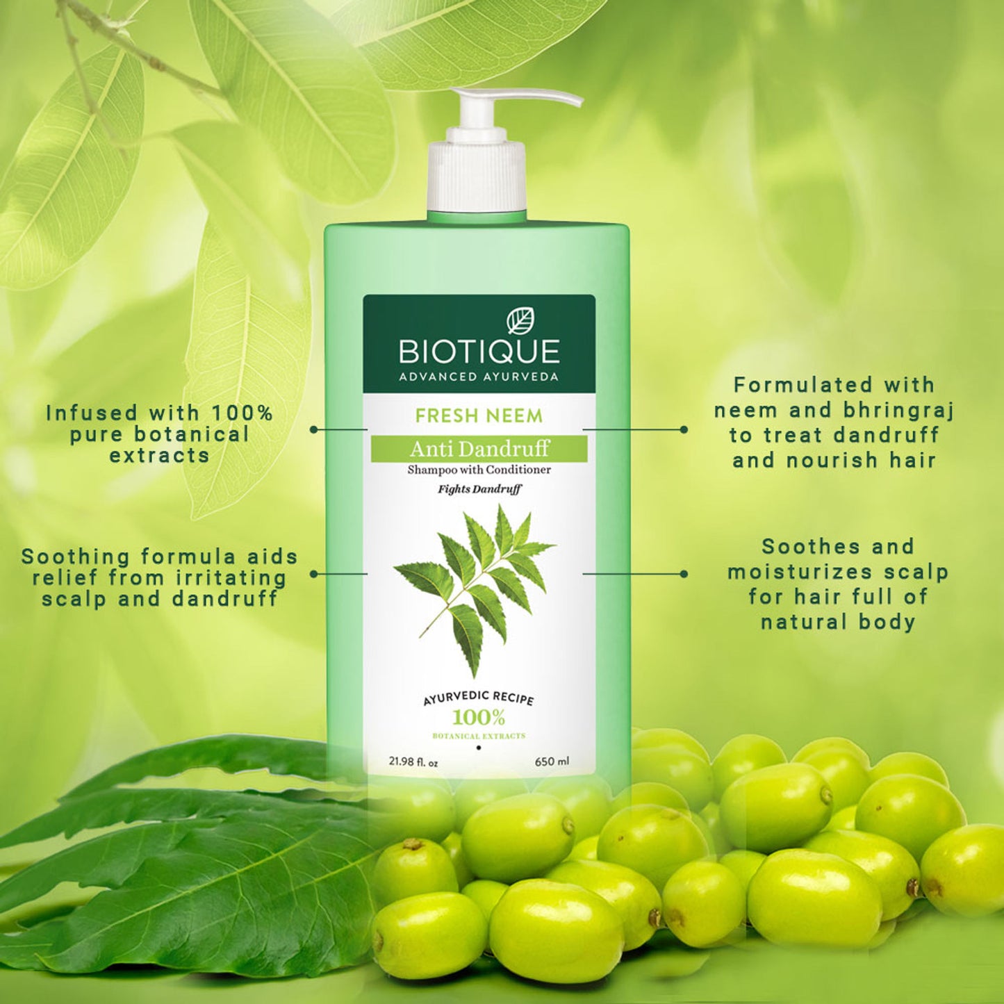 Biotique Bio Neem Margosa Anti-Dandruff Shampoo & Conditioner