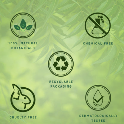 Biotique Bio Neem Margosa Anti-Dandruff Shampoo & Conditioner