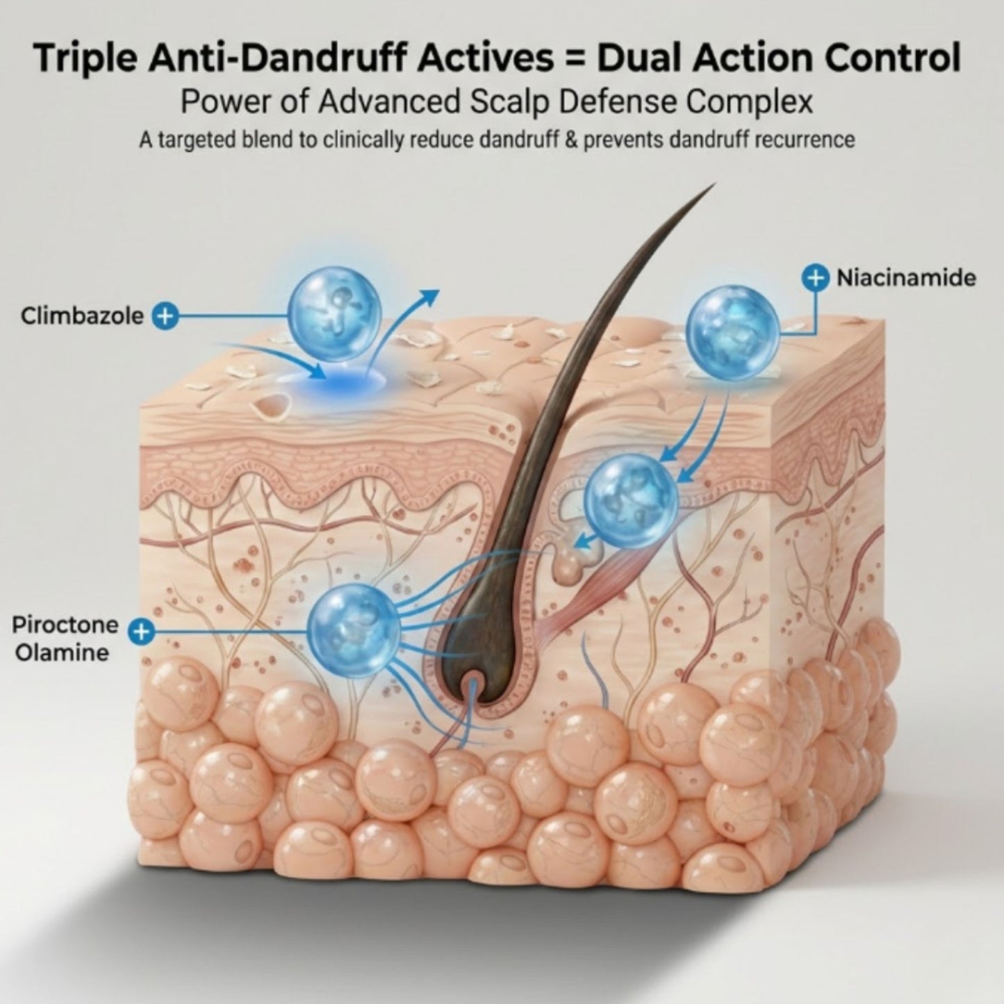 The Skin Story Anti Dandruff Deep Ceansing Shampoo Calms & Soothes Scalp With Saniscalp & Argan Oil