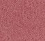 Rosy Mauve