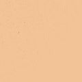 110 Cool Undertone