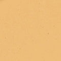 240 Warm Undertone