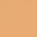 250 Warm Undertone