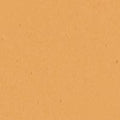 253 Neutral Undertone