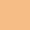 Light Warm Nude