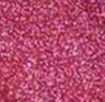 Serendipity Berry