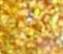The Sun