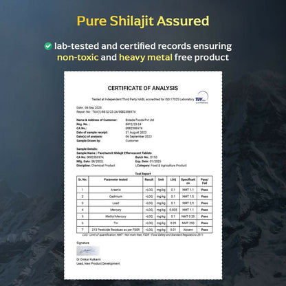 Panchamrit Himalayan SJ 600mg Effervescent Tablets
