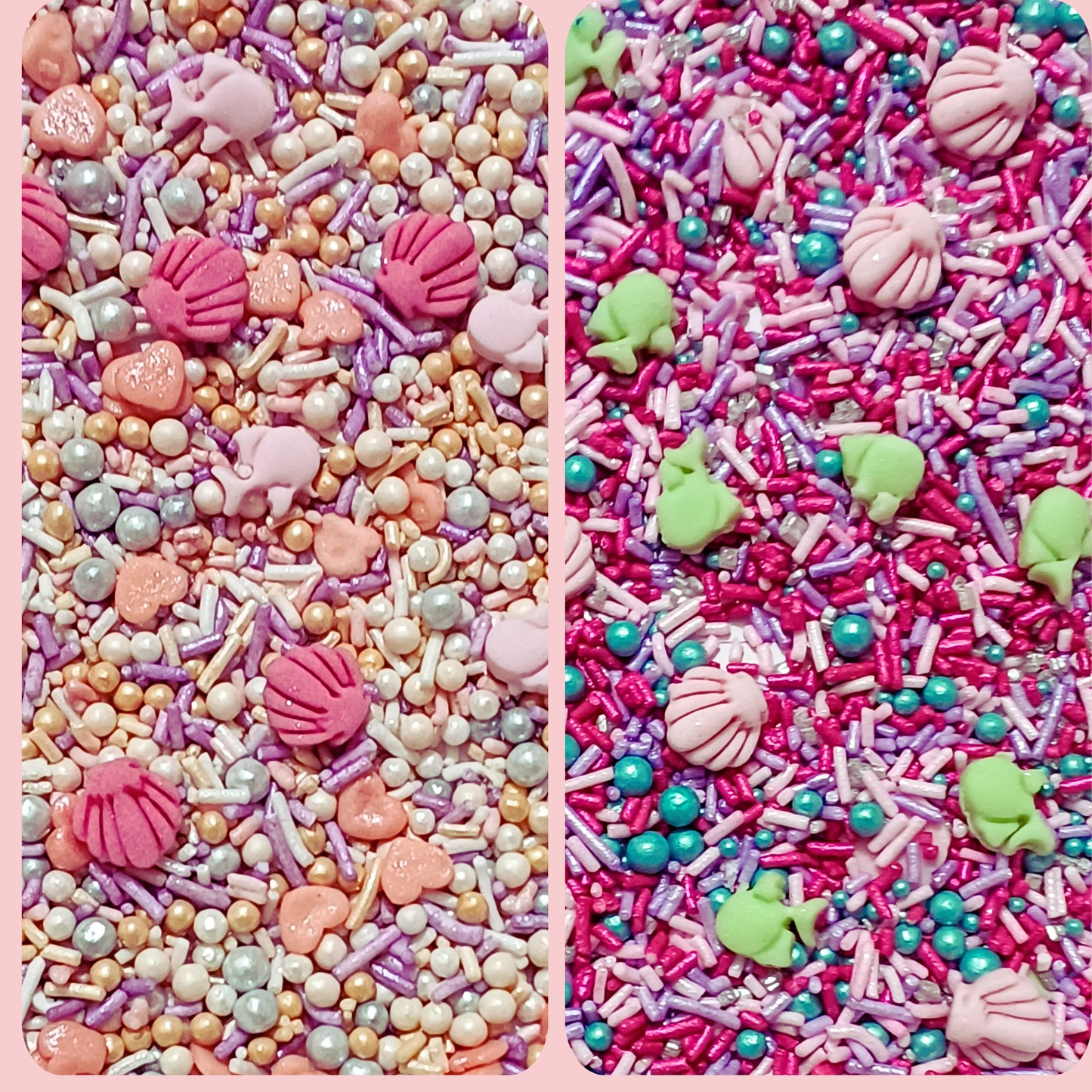 Confect Under the Sea Sprinkles for Decorations 03