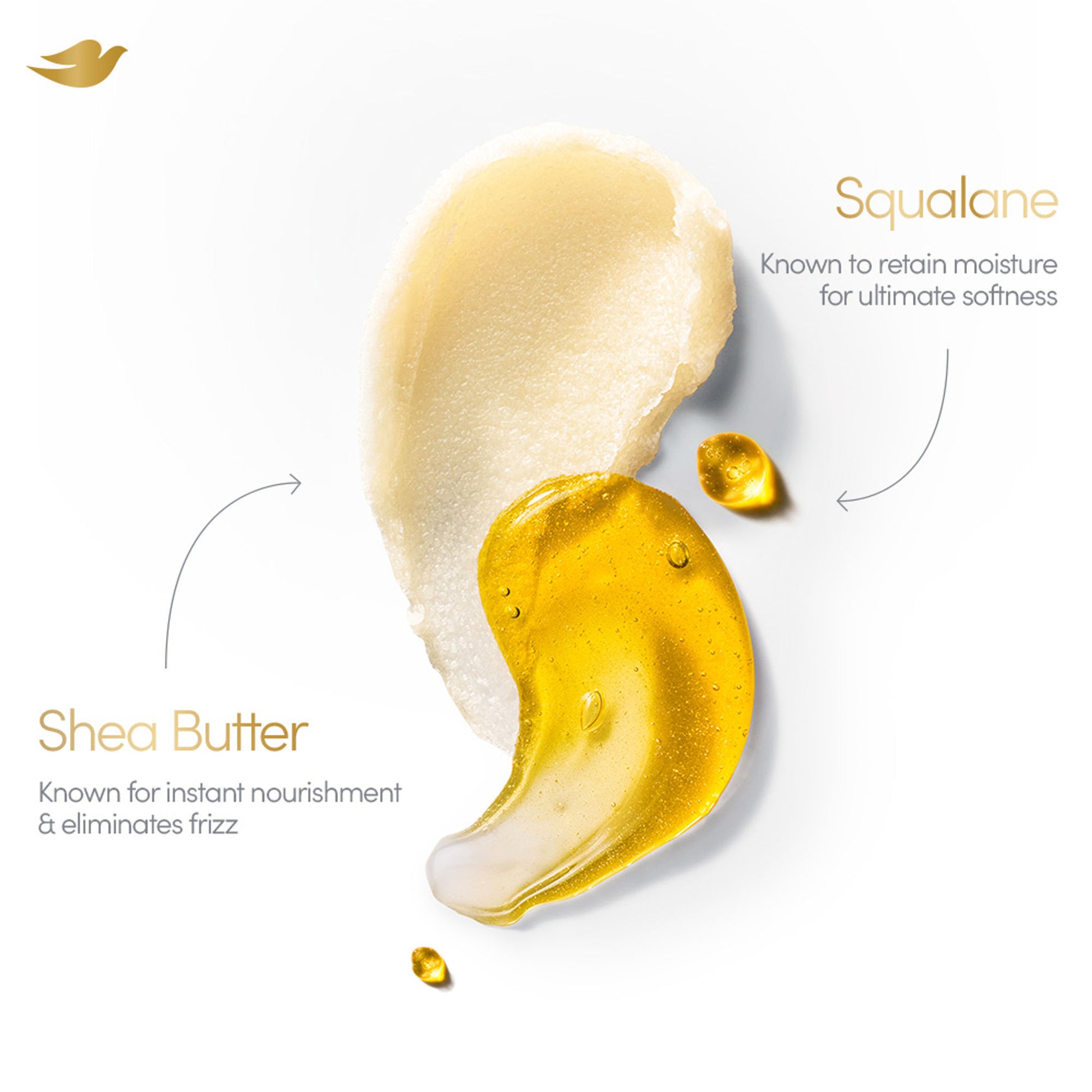 Dove Beautiful Curls Sulphate Free Hydrating Shampoo, With Tri-Moisture Essence For, Bouncy Curls