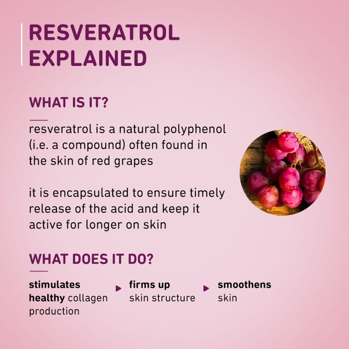 Plum 1% Resveratrol & Vitamin C Youthful Glow Moisturizer For Glowing Skin