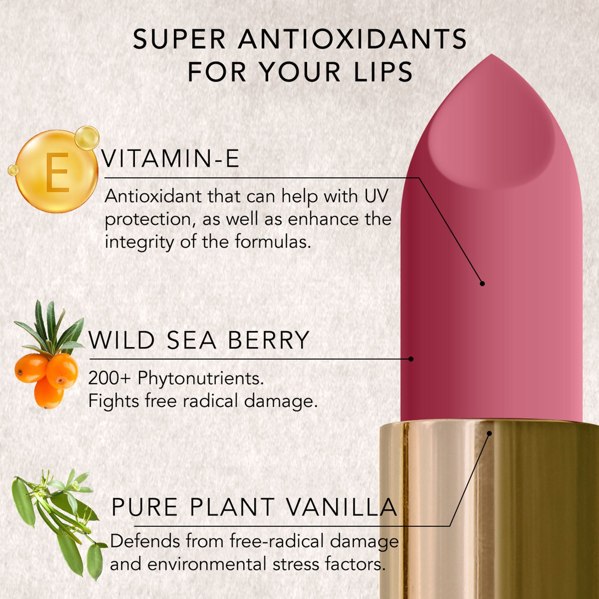 Daughter Earth Natural & Creamy Velvet Phytonutrient Lipstick - Gypsy Rose