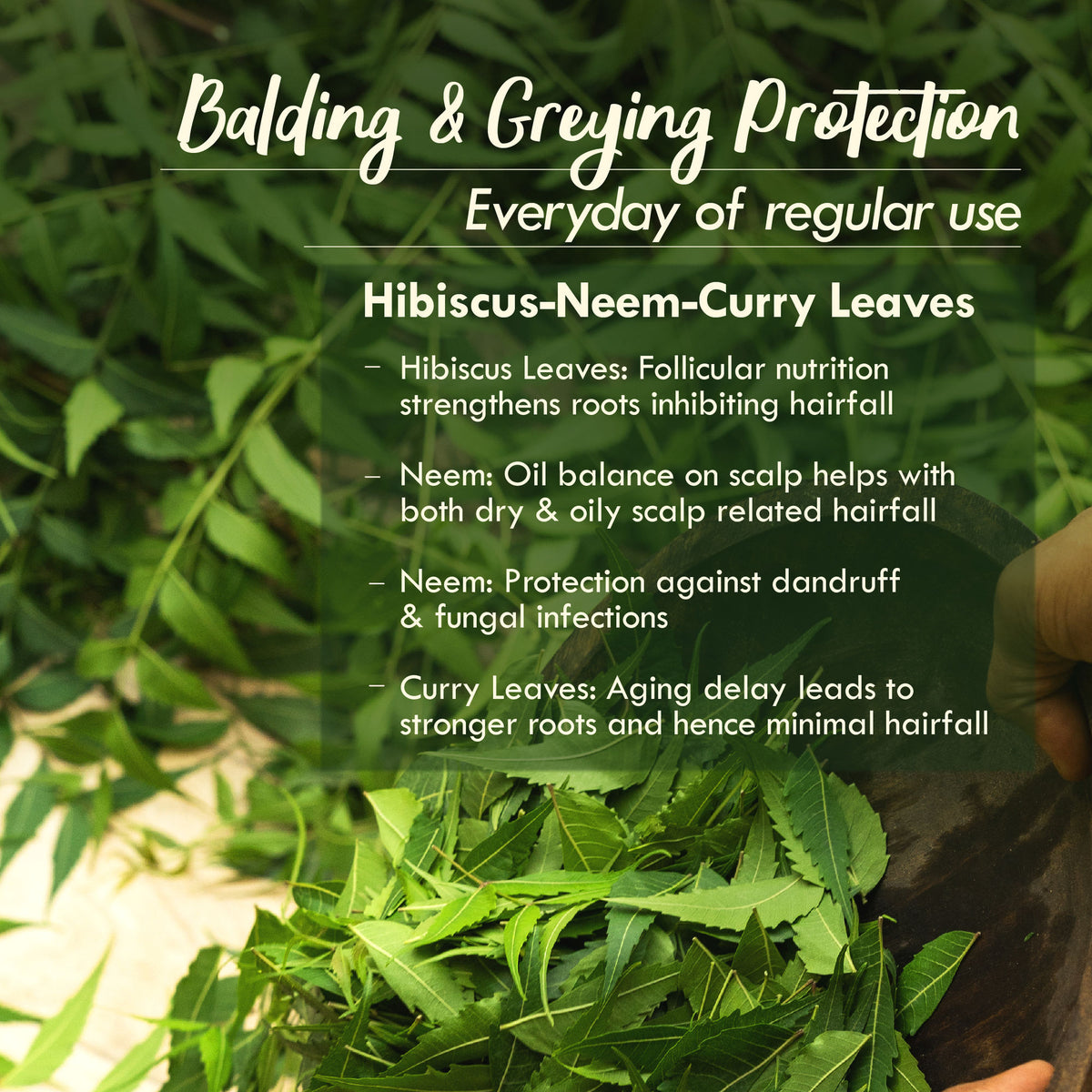 Nat Habit Neem Amla Mens Balding & Anti-Greying Ayurvedic Oil For Receding Hairline Reversal