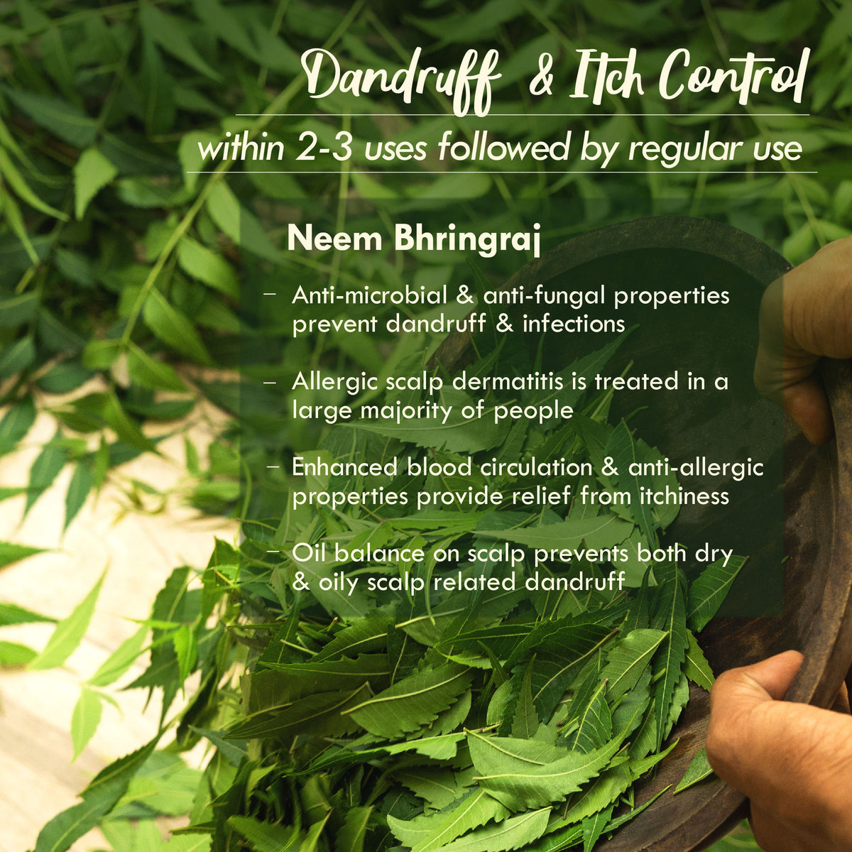 Nat Habit Neem Bhringraj Tea Tree Anti Dandruff Hair Treatment Ayurvedic Oil & Castor Coconut