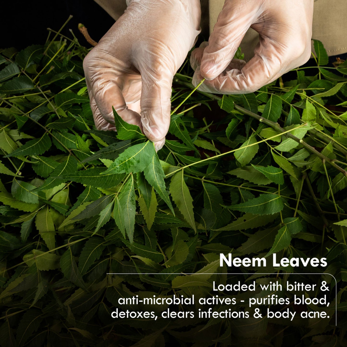 Nat Habit Cold Processed Neem Basil Butter Bath Soap- Antibacterial, Dark Spots, De-Tan & Handmade