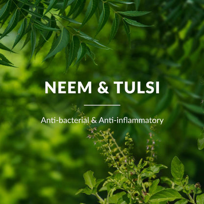 Lotus Botanicals Neem, Tulsi & Salicylic Acid Anti-Acne Purifying Face Gel