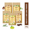 Vedask Organic Hair Pack Powder Mask Combo - Pack Of 5
