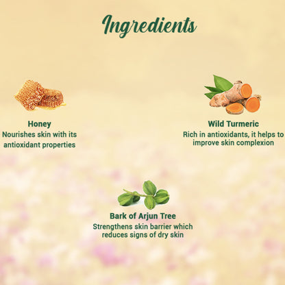 Biotique Bio Honey Gel Refreshing Foaming Face Wash