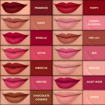 Parul Garg Beauty Ultilmate Silk Matte Liquid Lipstick Collection - Pack Of 14