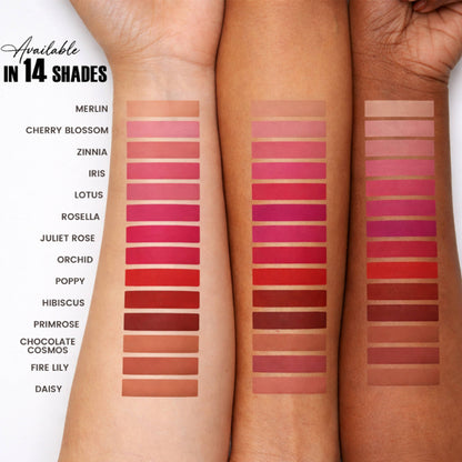 Parul Garg Beauty Ultilmate Silk Matte Liquid Lipstick Collection - Pack Of 14