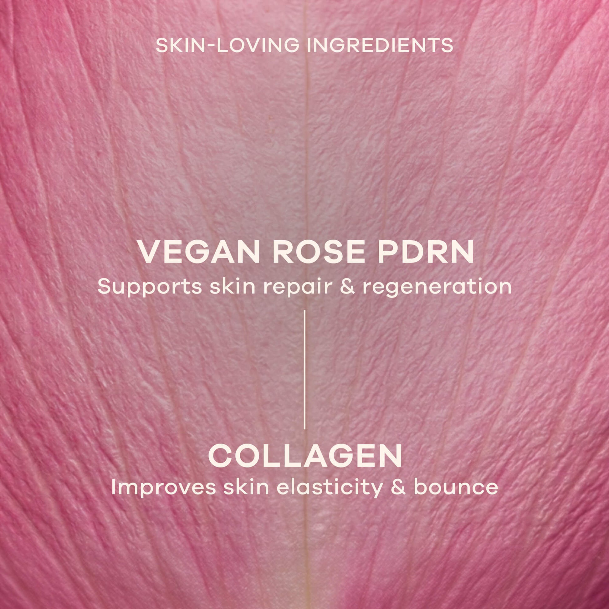 Earth Rhythm Capsule Cream For Barrier Repair With Vegan Rose Pdrn & Collagen