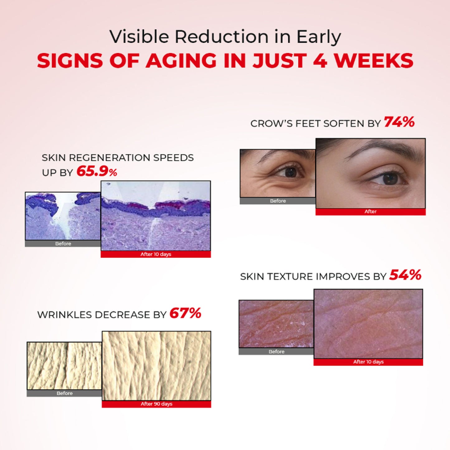 Conscious Chemist 6 Peptide Complex Collagen Boosting