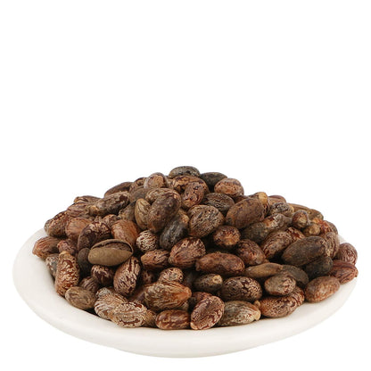 Yuvika Castor Seeds (Ricinus Communis Linn) in a natural form, used for Ayurvedic products and herbal remedies.