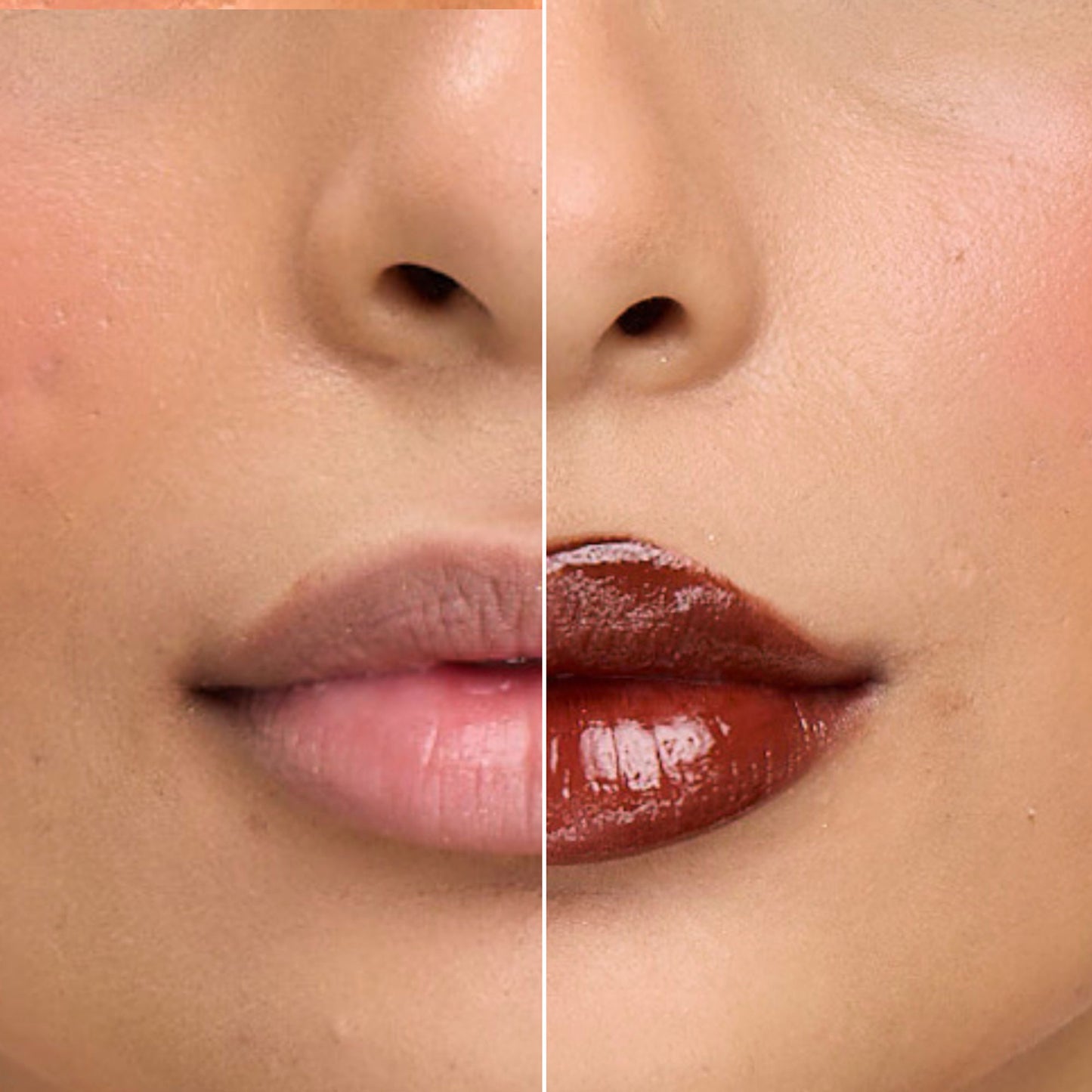 The Skin Diet Company Lip Barrier Tint To Hydrate & Plump Dry, Pigmented Lips - Deep Brew