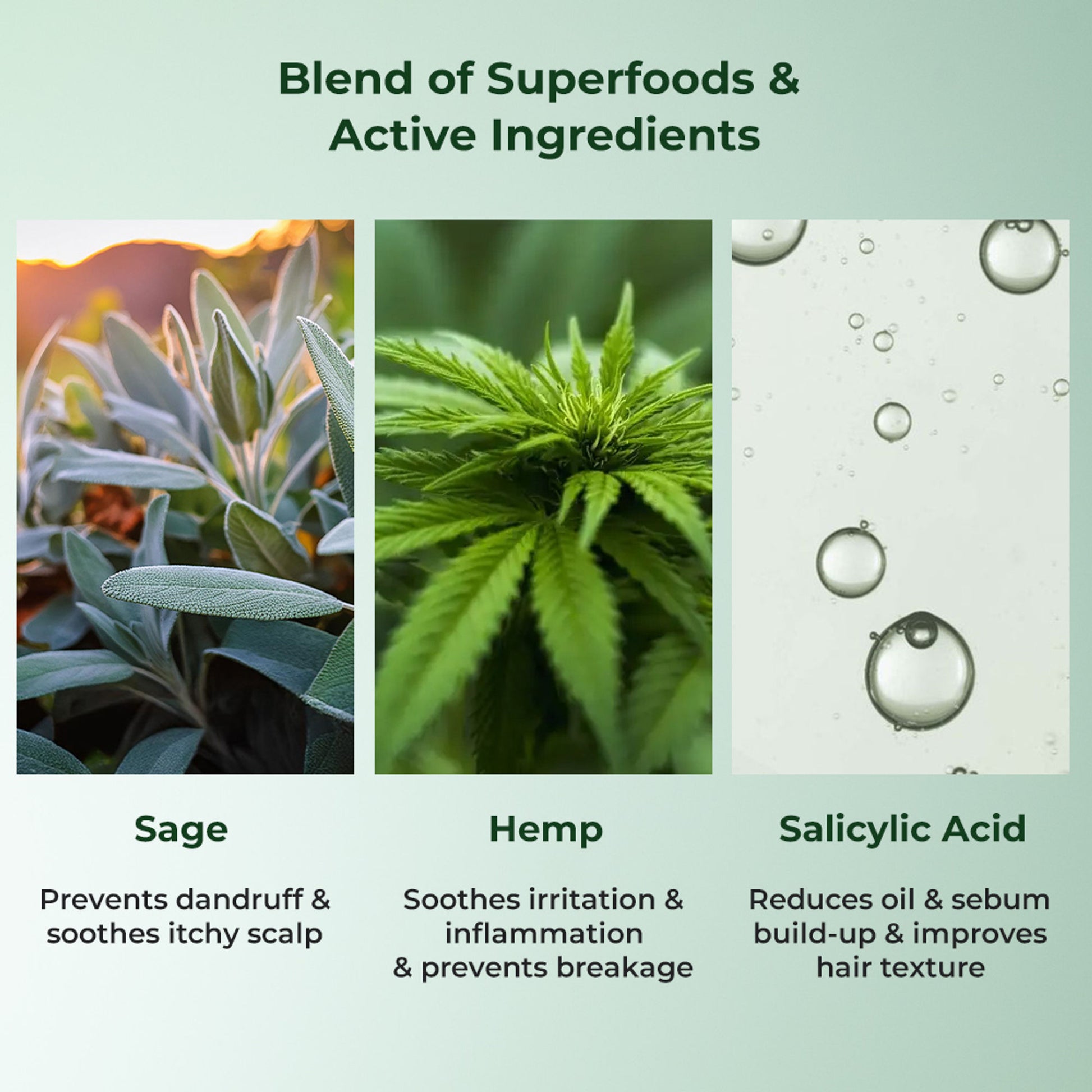 Naturali Anti-Dandruff Hair Mask With Hemp, Sage & Salicylic Acid