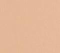 Warm Beige