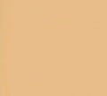 Warm Beige