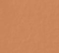 Deep Peach