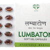 Avn Ayurveda Lumbaton Soft Gel Capsules