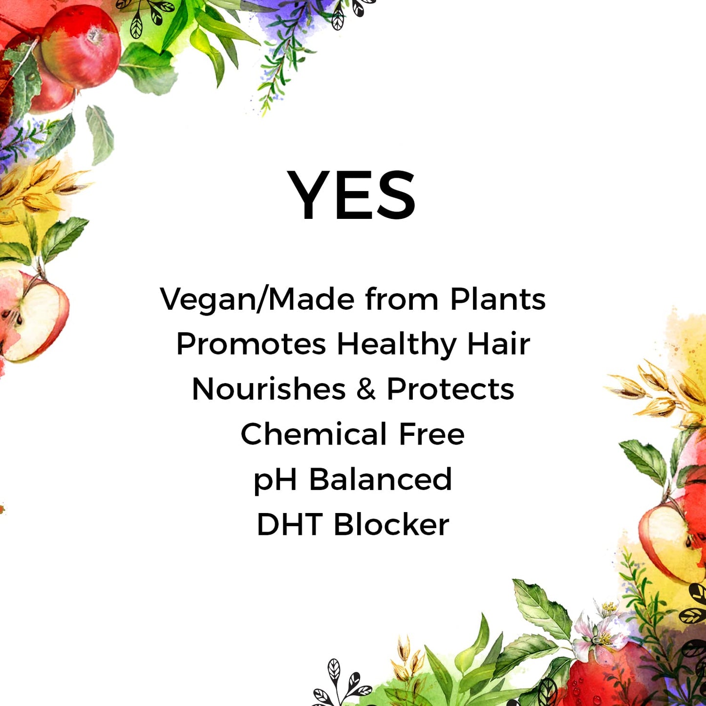 The Organic Forest Apple Cider Vinegar, Tea Tree & Rosemary Shampoo - Indyancart