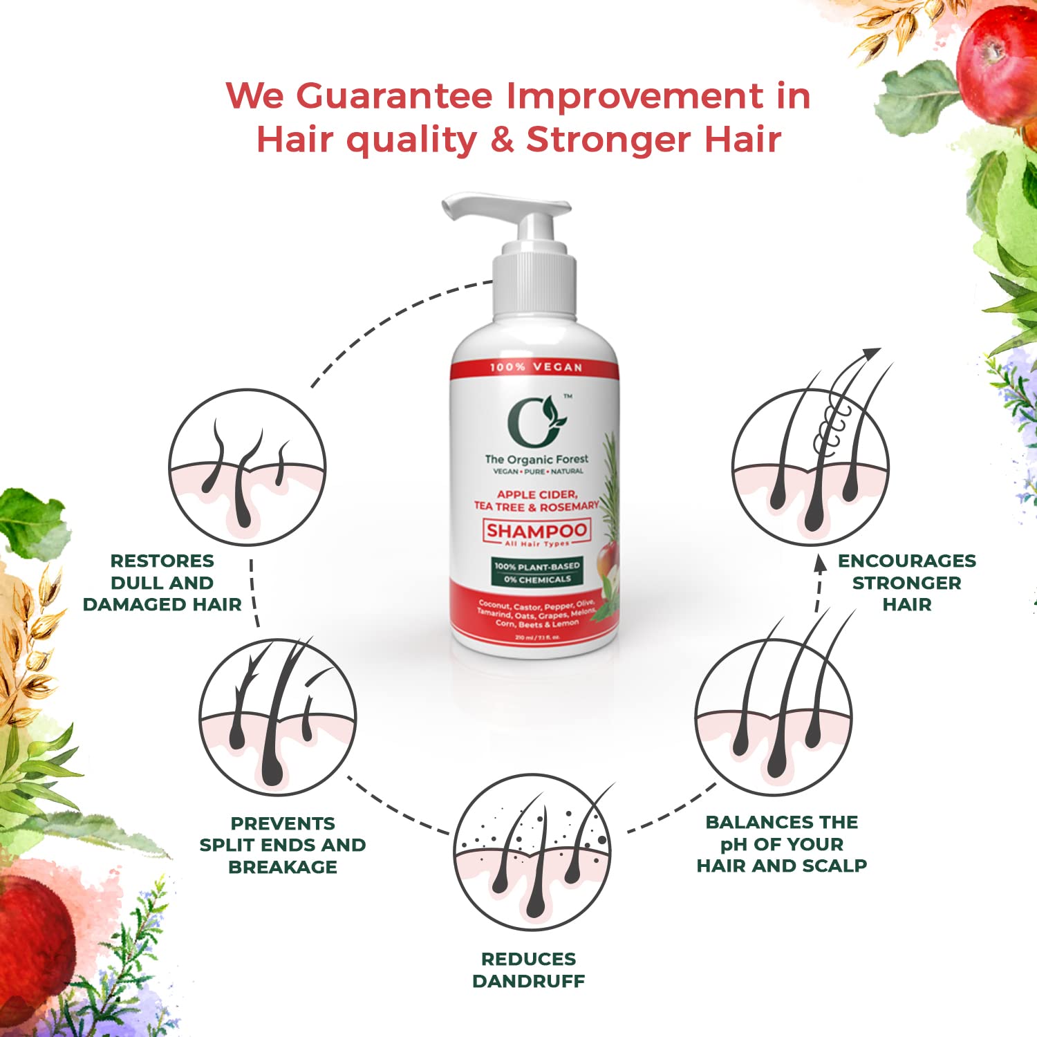 The Organic Forest Apple Cider Vinegar, Tea Tree & Rosemary Shampoo - Indyancart