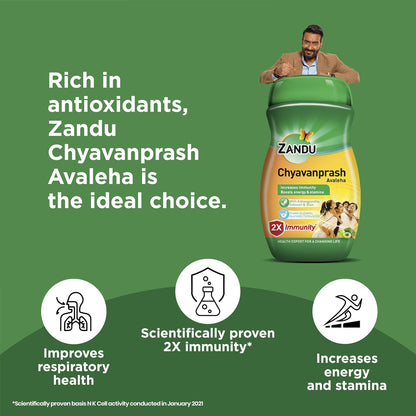 Zandu Chyavanprash Avaleha - Indyancart