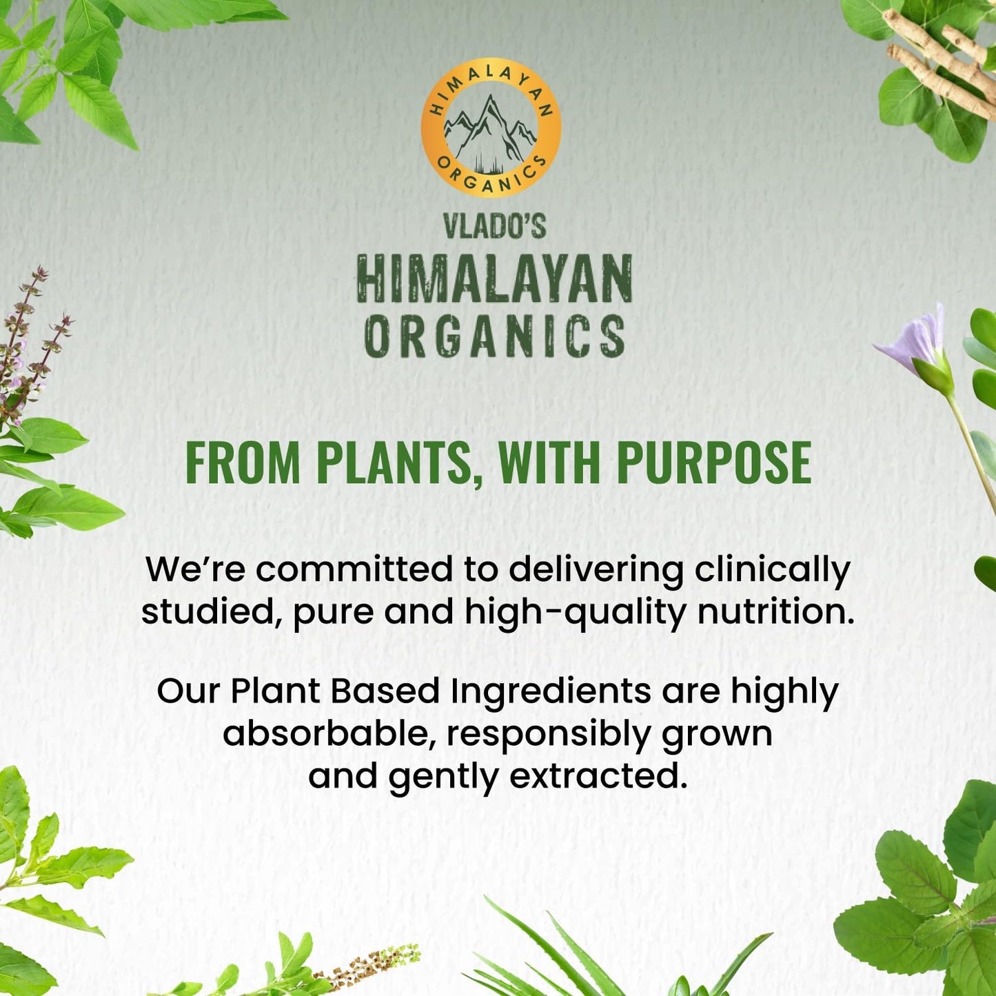 Himalayan Organics Korean Ginseng 800 mg Vegetarian Capsules