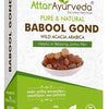 Attar Ayurveda Babool Gond