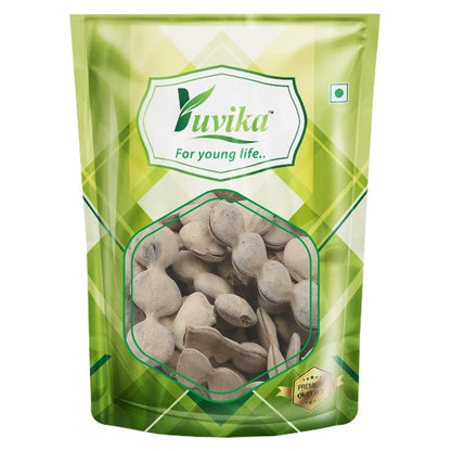 Yuvika Babool Phali (Acacia Nolotica) in a natural cluster, used in Ayurvedic herbal remedies and traditional medicine.